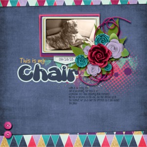 Bellachair_91815sm