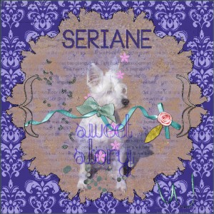 Sweet Seriane Story