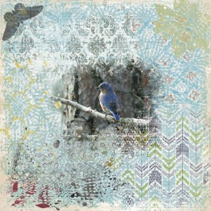 Bluebird-of-Happiness