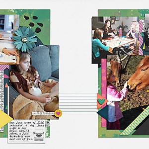 2016 Weekly Life Page 1