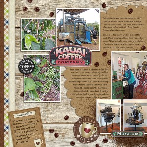 Kauai Coffee MOC4 Day 10