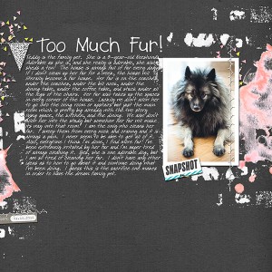Too Much Fur! 2016MOC-9
