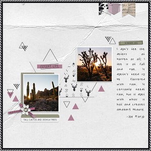 Desert Life