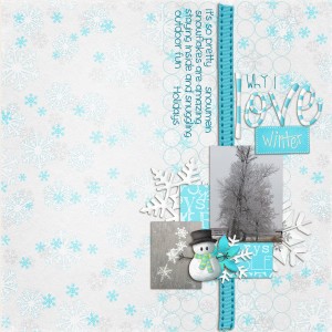 Fdd_ffEclectic--ka-snow-and-ice