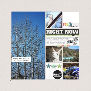Nov-cabin-left-copy
