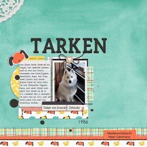 MOC4#12 - Tarken
