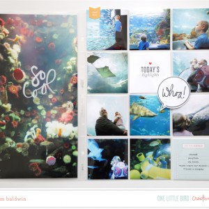 Onelittlebird-agenda-bypambaldwin2