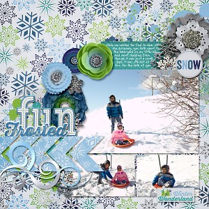 Frosted Fun
