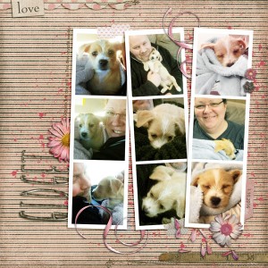 Gidget - Day 1