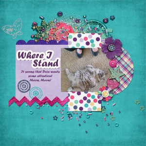 Day 14 Where I Stand