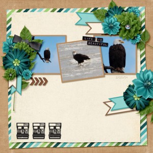 Eagles22514sm