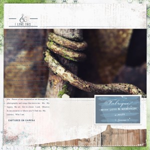 JournalingChallenge