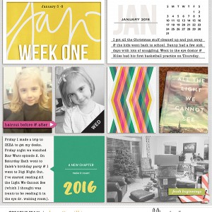 2016 week 1 - left side