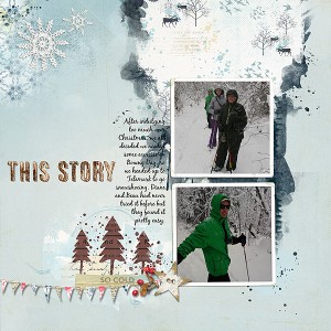 Snowshoeing - The Story