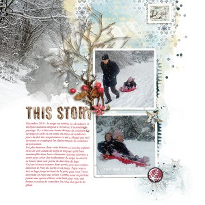 Hiver - MOC13
