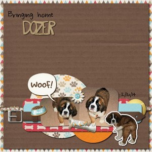 BabyDozer1