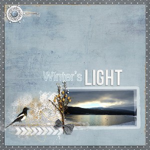 Winter's Light