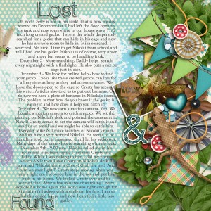 Lost & Found MOC13