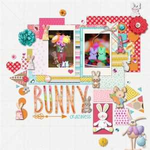 Bunny craziness