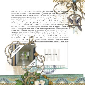 2016_MOC9_ScrapTherapy