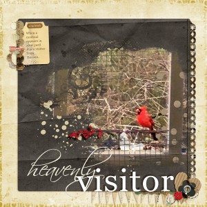Heavenly-Visitor-WEB