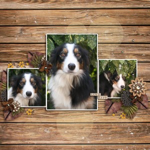Tess