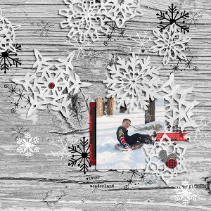 MOC-15---Winter-Wonderland