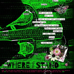 Where-I-Stand-2016-copy