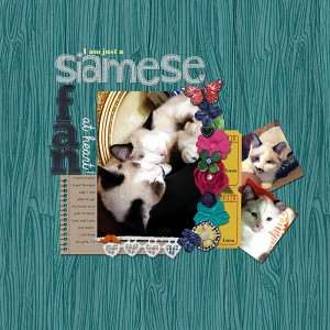 Siamese Fan - MOC #17