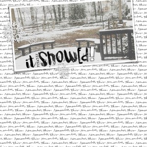 It Finally Snowed! - MOC Jan. 17