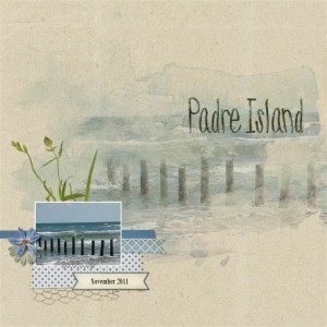 Padre Island TLP_MOC_Day16