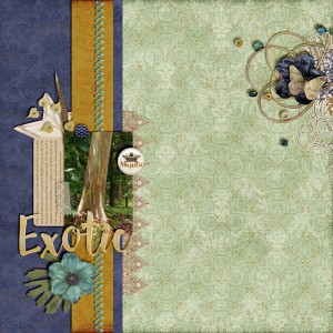 Exotic