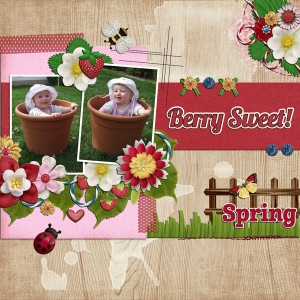 Berry Sweet
