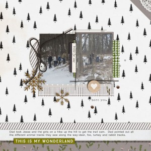 Winter-Wonderland