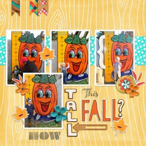 How-tall-this-fall