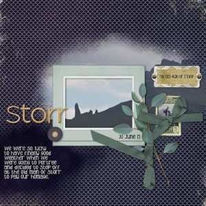 Storr4