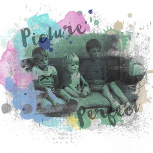 Picture Perfect