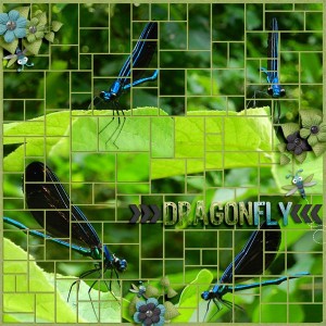Dragonfly