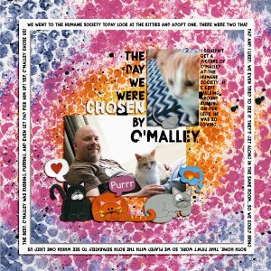 Chosen by O'Malley