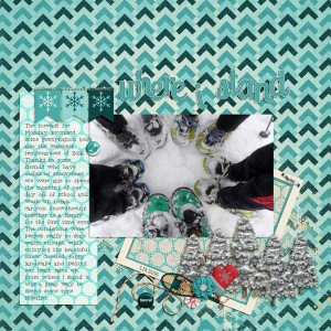 MOC 14: Snowshoeing