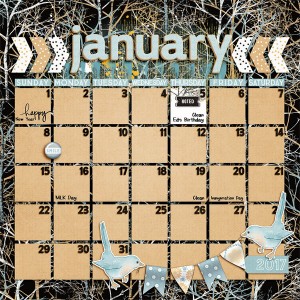 January 2017 Calender