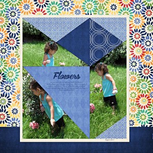 MOC_22_Ad_InspirationChallenge_Flowers