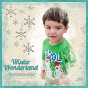 WinterWonderlandWEB