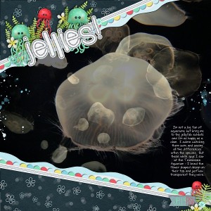 Jellies