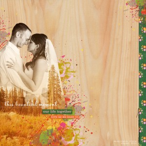 Beautiful Moment