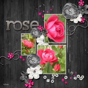 Roseswalksm