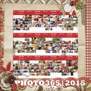2015-in-review-WEB