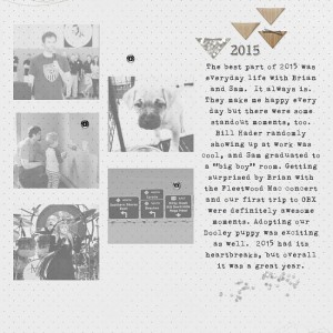 2015-recap
