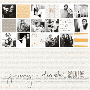 2015 In Review