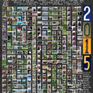 2016-MOC#26_2015-Year-In-Review_web